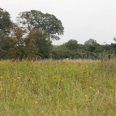 Haus Holli Zarrentin am Schaalsee