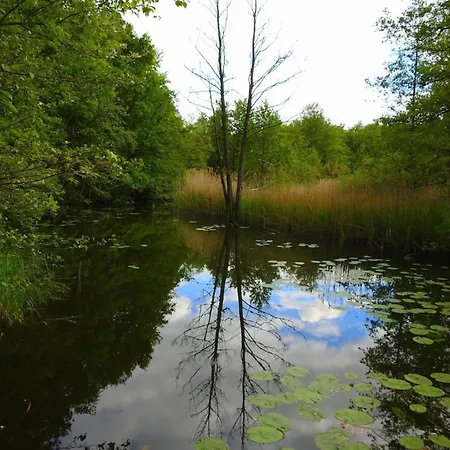 Casa de Férias Haus Holli *