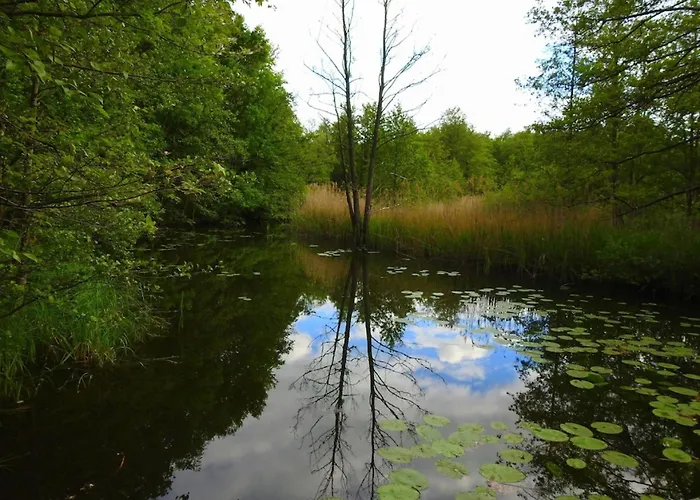 Dom wakacyjny Haus Holli *